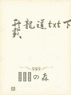 升龙道txt下载