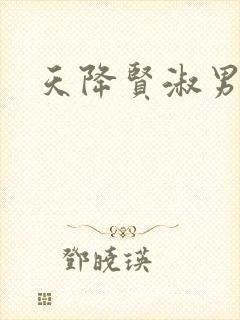 天降贤淑男小说