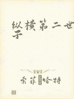 纵横第二世界宽子
