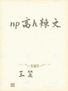 np高h辣文