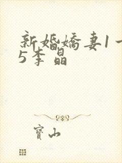 新婚娇妻1一25李晶