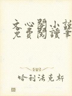 文心阁小说全文免费阅读笔趣阁