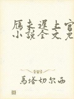 雁未迟上官穿越小说全文免费阅读