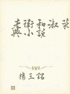 老卫和淑荣的经典小说