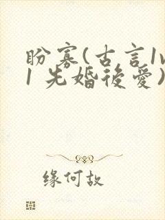 盼寡(古言1v1 先婚后爱)荔枝好多