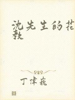 沈先生的花式调教