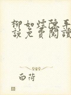 柳如烟陈平安小说免费阅读全文