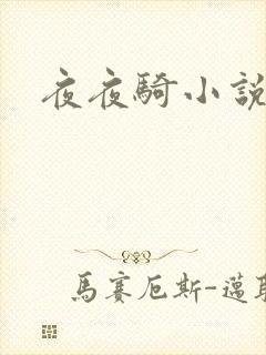 夜夜骑小说