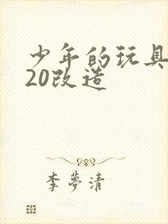 少年的玩具1一20改造