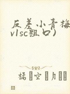 反差小青梅(1v1sc粗口)