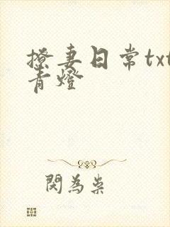 撩妻日常txt青灯