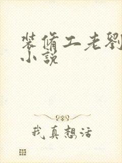 装修工老刘林雪小说