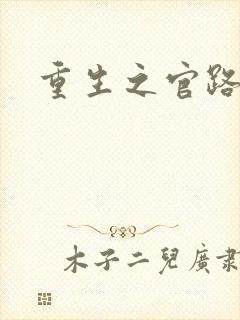 重生之官路风流