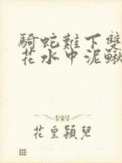 骑蛇难下双金银花水中泥鳅双男主