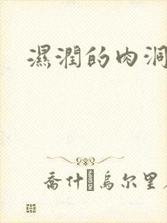 湿润的肉洞