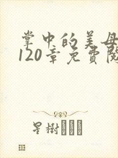 掌中的美母版主120章免费阅读
