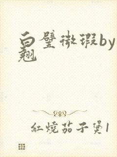 白璧微瑕by连翘