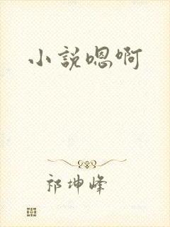 小说嗯啊