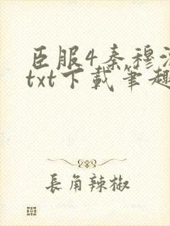 臣服4秦穆沈流txt下载笔趣阁