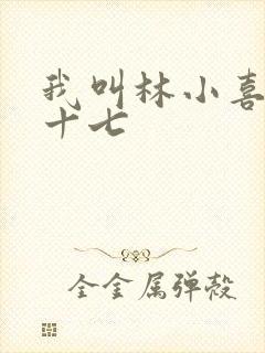 我叫林小喜今年十七
