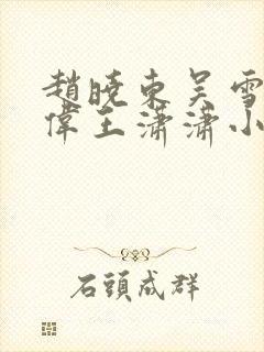 赵晓东吴雪晴郑伟王潇潇小说