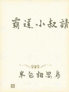 霸道小叔请轻撩