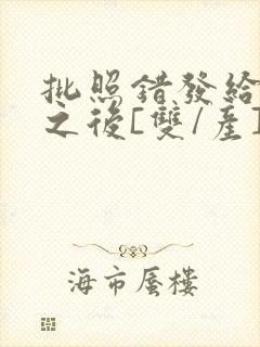 批照错发给情敌之后[双/产]