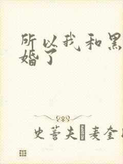 所以我和黑粉结婚了