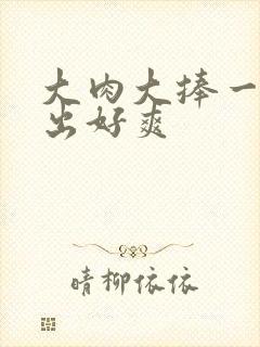 大肉大捧一进一出好爽