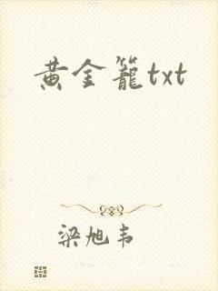 黄金笼txt