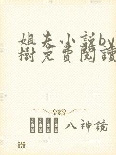 姐夫小说by野树免费阅读全文