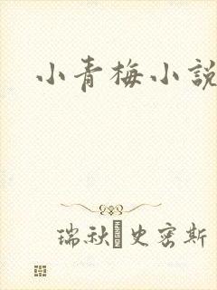 小青梅小说
