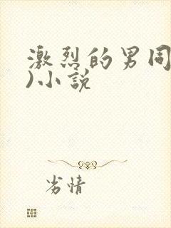 激烈的男同(h)小说