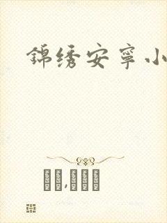 锦绣安宁小说