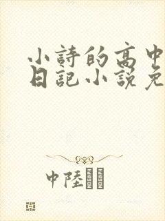 小诗的高中成长日记小说免费阅读