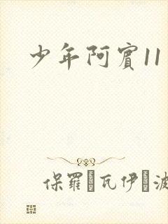 少年阿宾11