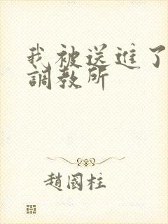 我被送进了私奴调教所