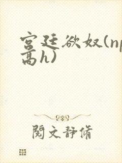 宫廷欲奴(np高h)