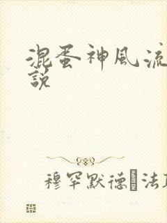 混蛋神风流史小说