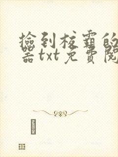 捡到校霸的遥控器txt免费阅读by阳阳