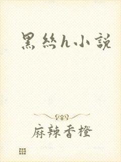 黑丝h小说