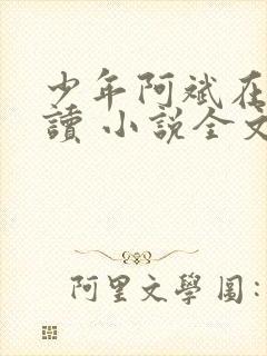 少年阿斌在线阅读 小说全文免费