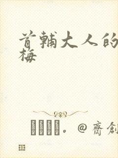 首辅大人的小青梅