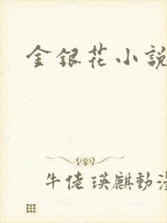 金银花小说乐可