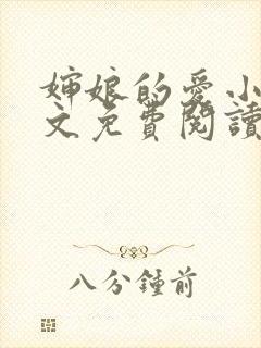 婶娘的爱小说全文免费阅读