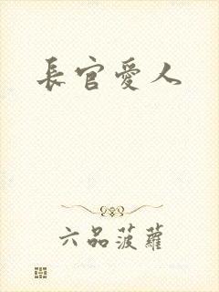 长官爱人