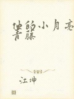 他的小月亮by青藤