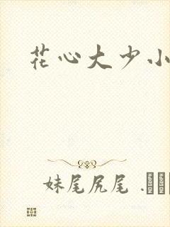 花心大少小说