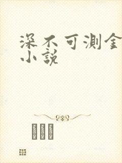 深不可测金银花小说