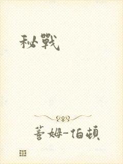 秘战
